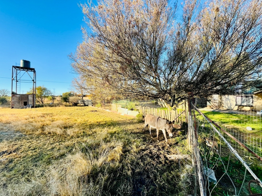 4 Bedroom Property for Sale in Roodewal Free State